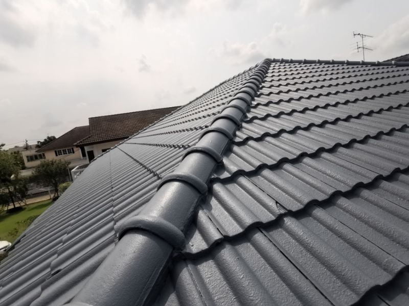 Ridge-Cap-Pointing-06